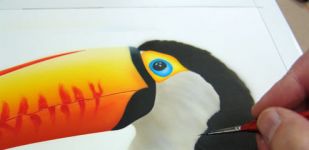 toucan_wildlife_Step10.jpg